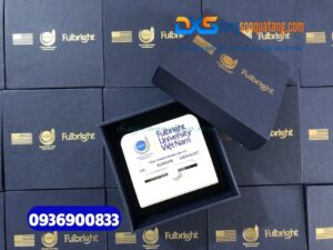 Adapter du lịch in logo Đại học Fulbright Việt Nam