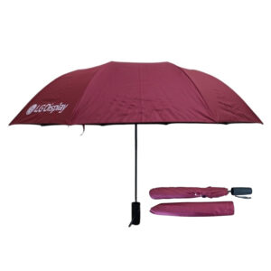 Ô Dù Cầm Tay Gấp 2 Tự Động 1 Chiều Bán Kính 60cm D019