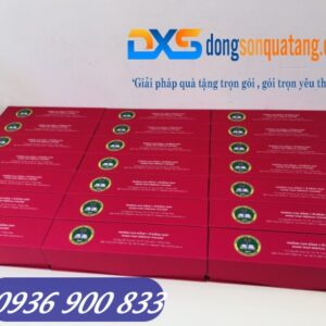 HQX 001 - Hộp quà nam châm định hình sản phẩm in logo theo yêu cầu